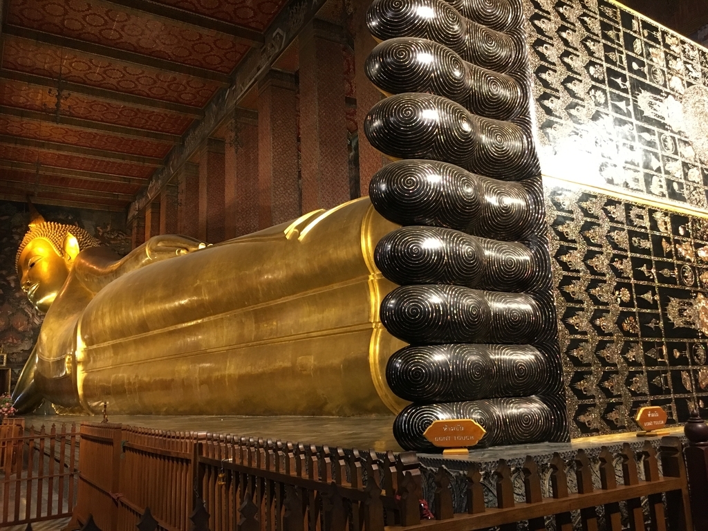 f:id:taylorchan:20190131202124j:plain f:id:taylorchan:20190131202124j:plain