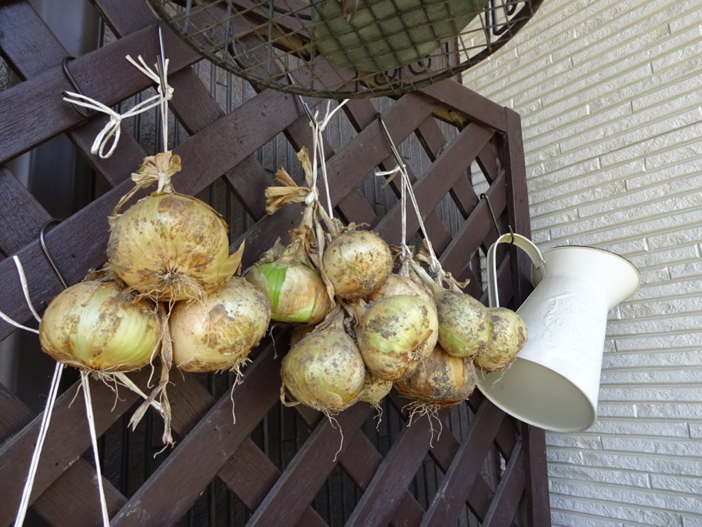 f:id:tayorako:20180612195120j:plain f:id:tayorako:20180612195120j:plain