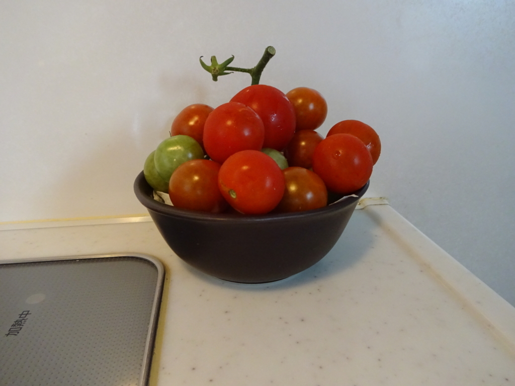 f:id:tayorako:20180709111905j:plain f:id:tayorako:20180709111905j:plain