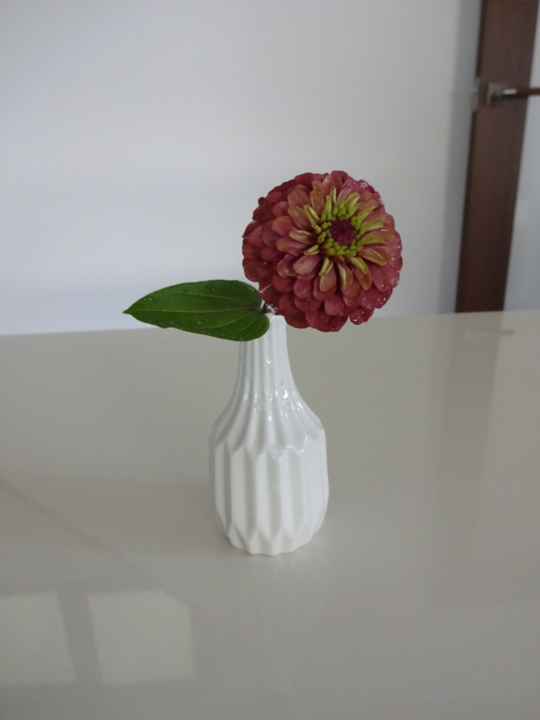 f:id:tayorako:20180725103229j:plain f:id:tayorako:20180725103229j:plain