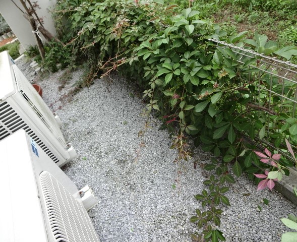 f:id:tayorako:20180725170958j:plain f:id:tayorako:20180725170958j:plain