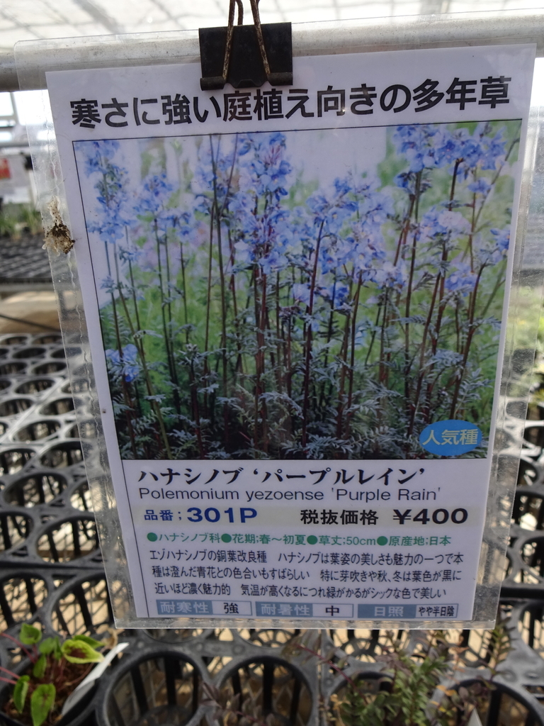 f:id:tayorako:20180903082833j:plain f:id:tayorako:20180903082833j:plain
