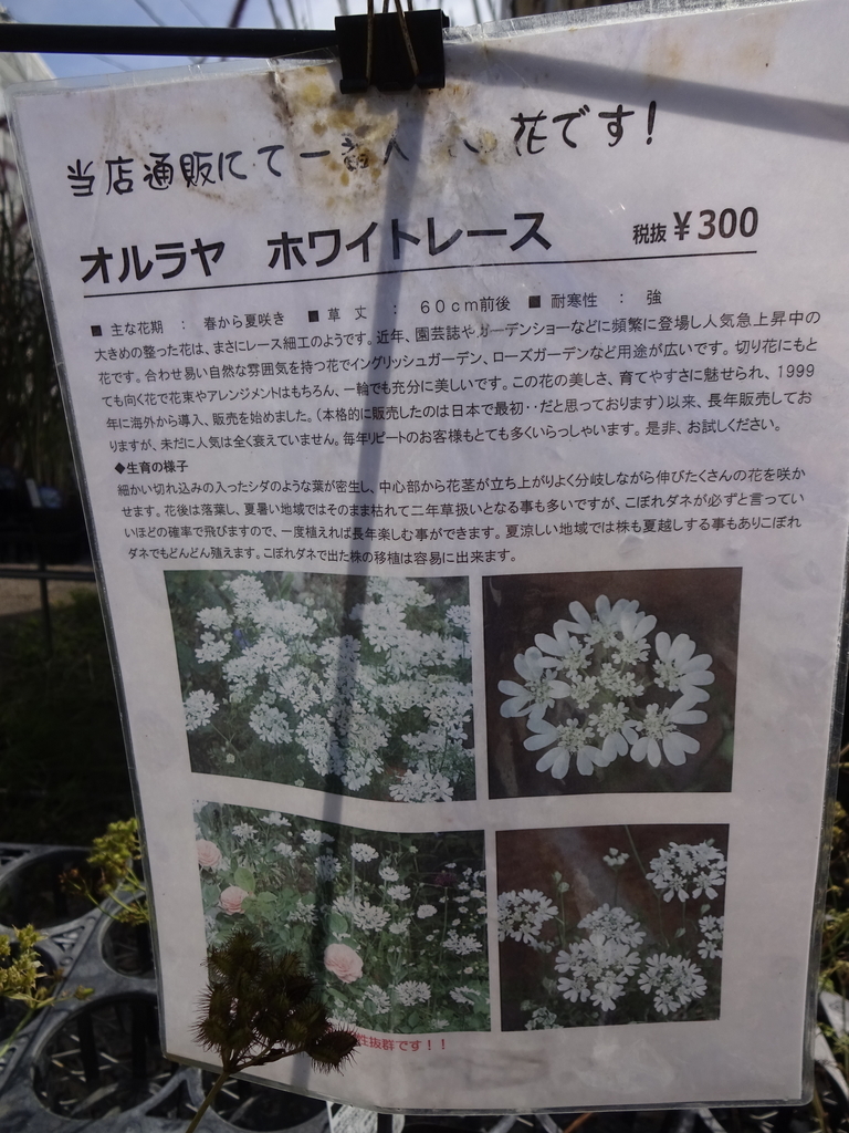 f:id:tayorako:20180903082957j:plain f:id:tayorako:20180903082957j:plain