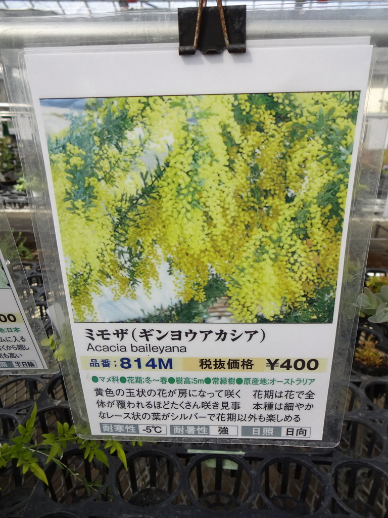 f:id:tayorako:20180903083236j:plain f:id:tayorako:20180903083236j:plain