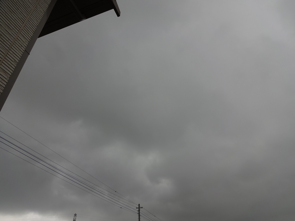 f:id:tayorako:20180903083348j:plain f:id:tayorako:20180903083348j:plain