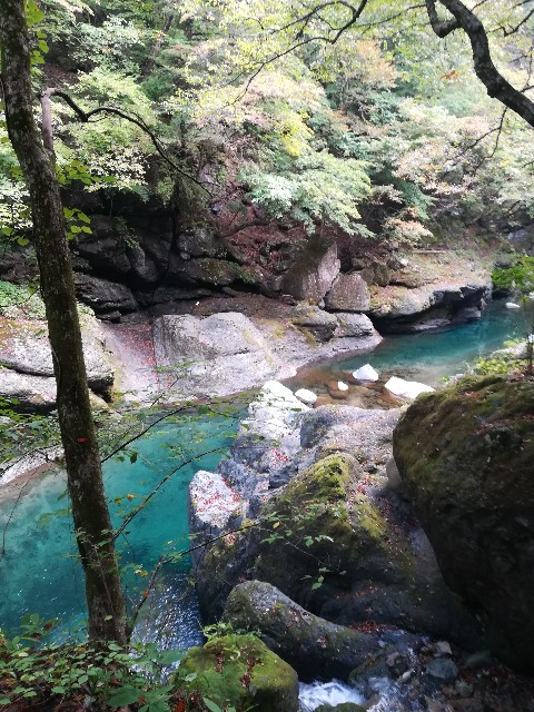 f:id:tayorako:20181021103951j:image f:id:tayorako:20181021103951j:image