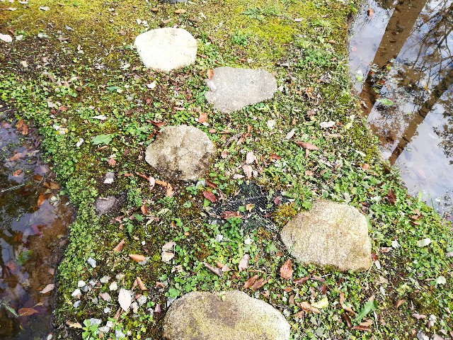 f:id:tayorako:20181021105411j:image f:id:tayorako:20181021105411j:image