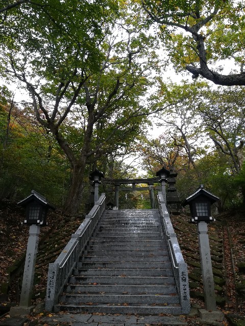 f:id:tayorako:20181021111720j:image f:id:tayorako:20181021111720j:image