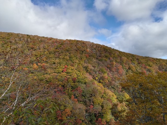 f:id:tayorako:20181021112009j:image f:id:tayorako:20181021112009j:image