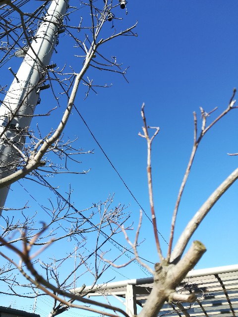 f:id:tayorako:20190120211750j:image f:id:tayorako:20190120211750j:image