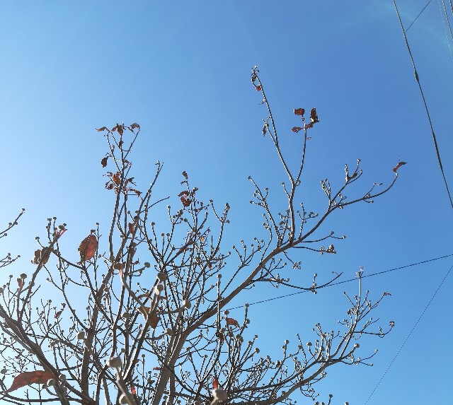 f:id:tayorako:20190120212136j:image f:id:tayorako:20190120212136j:image