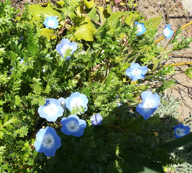 f:id:tayorako:20190322101303j:image f:id:tayorako:20190322101303j:image