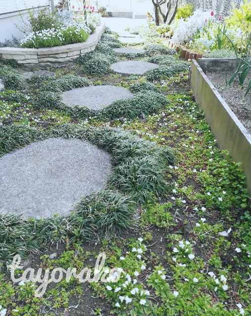 f:id:tayorako:20190406233215j:image f:id:tayorako:20190406233215j:image