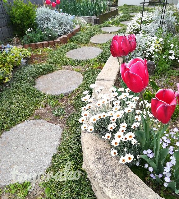 f:id:tayorako:20190417172325j:image f:id:tayorako:20190417172325j:image