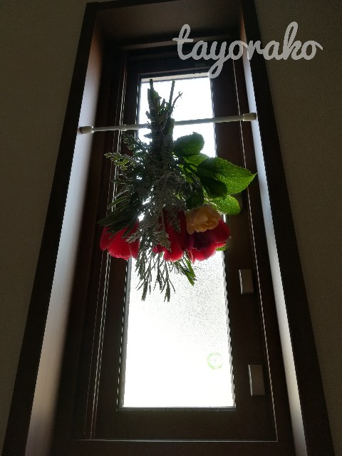 f:id:tayorako:20190421230929j:image f:id:tayorako:20190421230929j:image