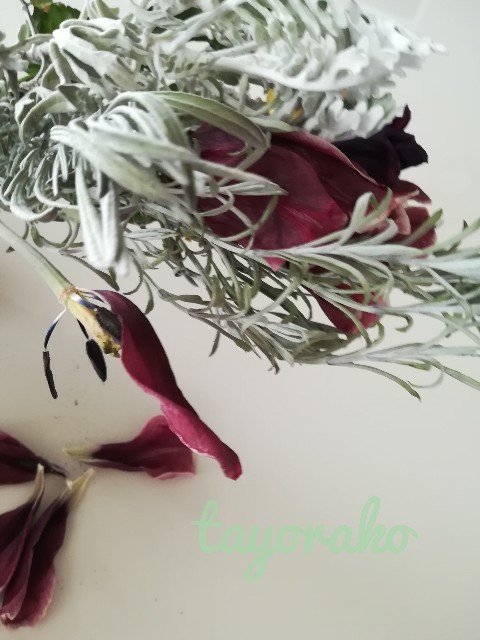 f:id:tayorako:20190425150654j:image f:id:tayorako:20190425150654j:image