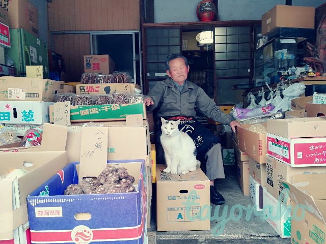 f:id:tayorako:20190505102641j:plain f:id:tayorako:20190505102641j:plain