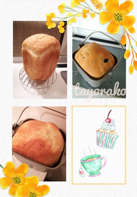 f:id:tayorako:20190510085152j:image f:id:tayorako:20190510085152j:image
