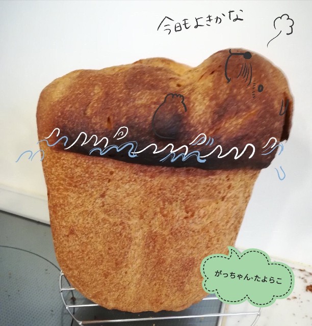 f:id:tayorako:20190517090756j:plain f:id:tayorako:20190517090756j:plain