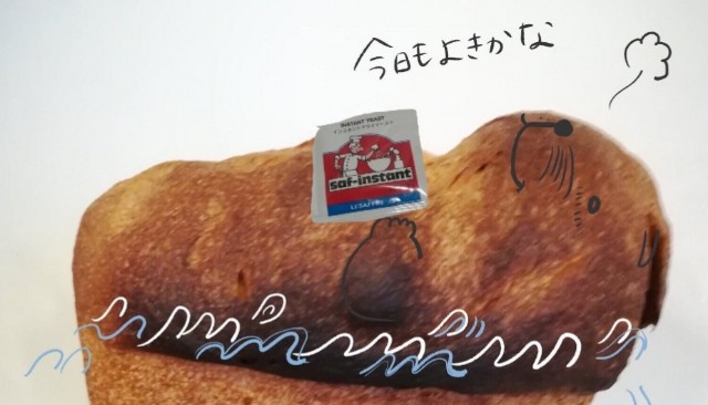 f:id:tayorako:20190517091105j:image f:id:tayorako:20190517091105j:image