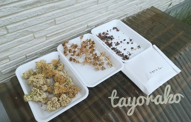 f:id:tayorako:20190606130607j:image f:id:tayorako:20190606130607j:image