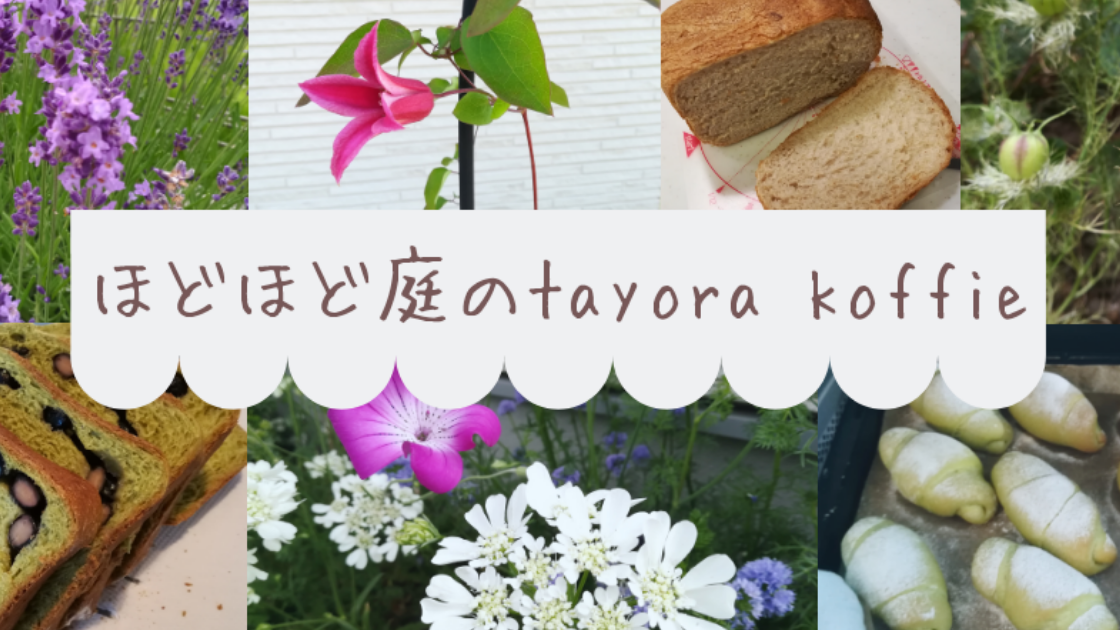 f:id:tayorako:20190611093439p:plain