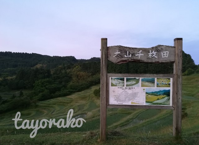 f:id:tayorako:20190614080112j:image f:id:tayorako:20190614080112j:image