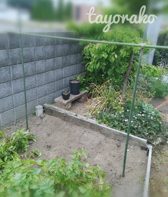 f:id:tayorako:20190618103232j:image f:id:tayorako:20190618103232j:image
