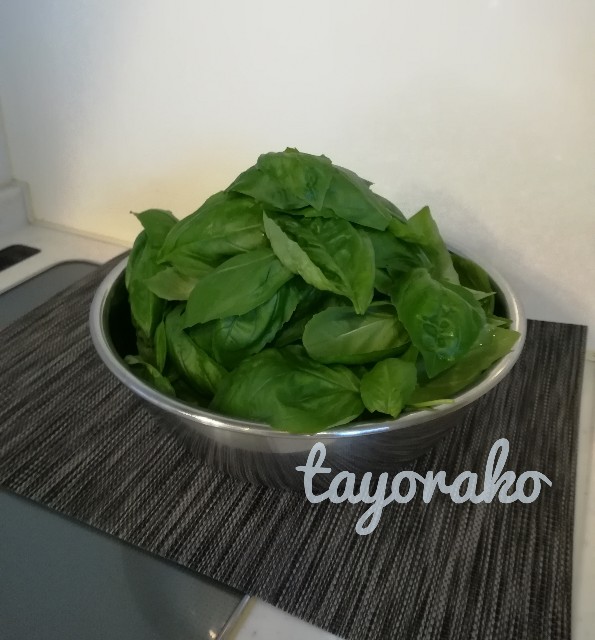 f:id:tayorako:20190729104917j:plain f:id:tayorako:20190729104917j:plain