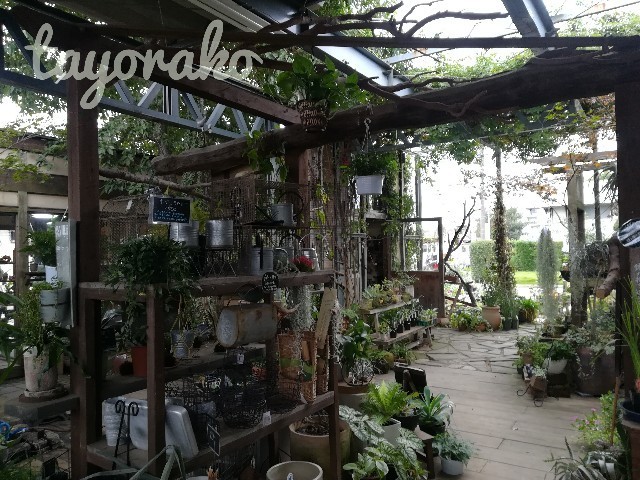 f:id:tayorako:20191022095755j:image f:id:tayorako:20191022095755j:image