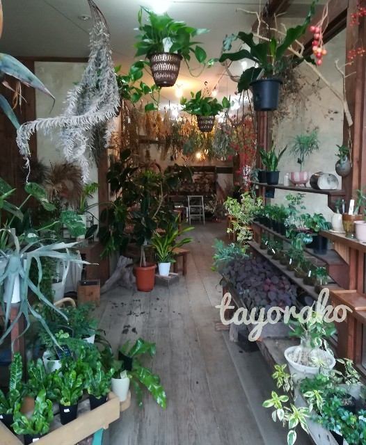 f:id:tayorako:20191022095807j:image f:id:tayorako:20191022095807j:image