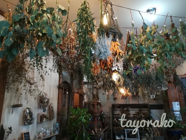 f:id:tayorako:20191022095819j:image f:id:tayorako:20191022095819j:image