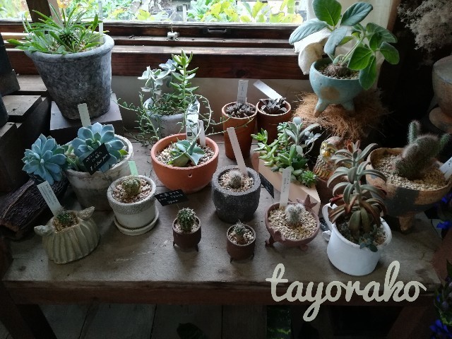 f:id:tayorako:20191022095835j:image f:id:tayorako:20191022095835j:image