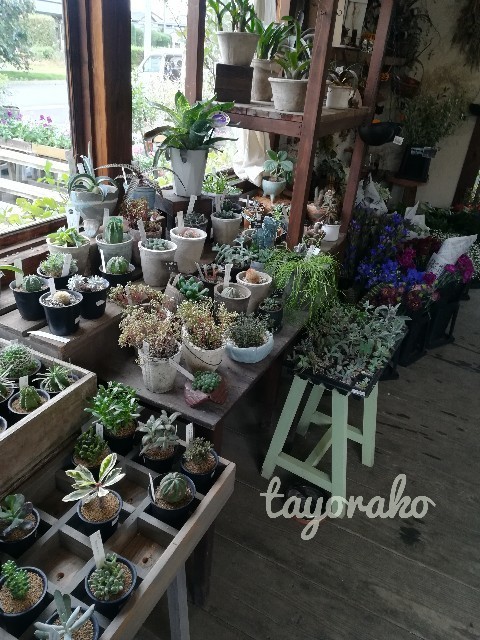 f:id:tayorako:20191022095844j:image f:id:tayorako:20191022095844j:image