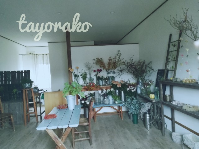 f:id:tayorako:20191022100012j:image f:id:tayorako:20191022100012j:image