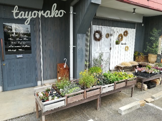 f:id:tayorako:20191022110646j:image f:id:tayorako:20191022110646j:image