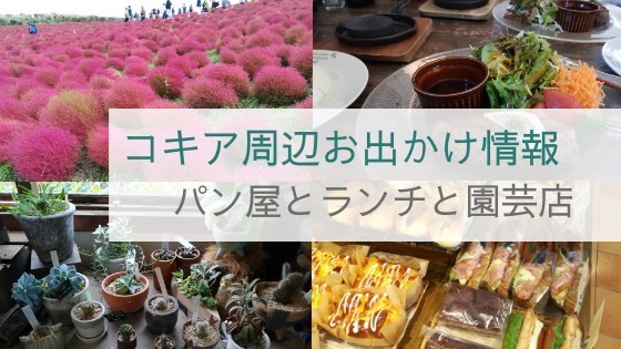 f:id:tayorako:20191024224510j:image f:id:tayorako:20191024224510j:image
