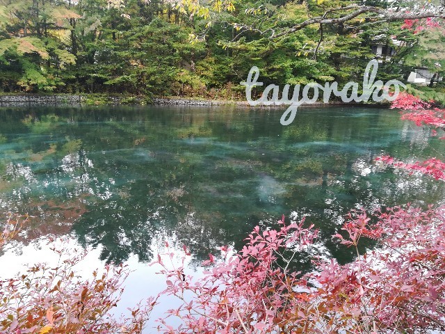 f:id:tayorako:20191027110844j:image f:id:tayorako:20191027110844j:image