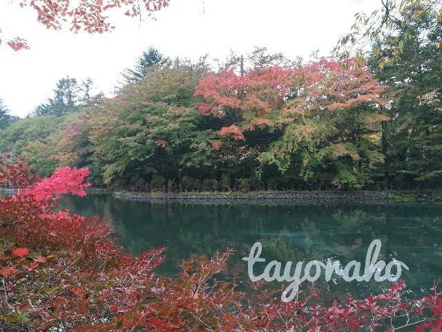f:id:tayorako:20191027110917j:image f:id:tayorako:20191027110917j:image
