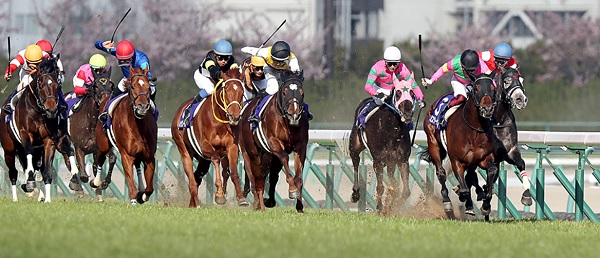 高松宮記念（２０２０）中京競馬場 芝１２００M 予想 穴党 