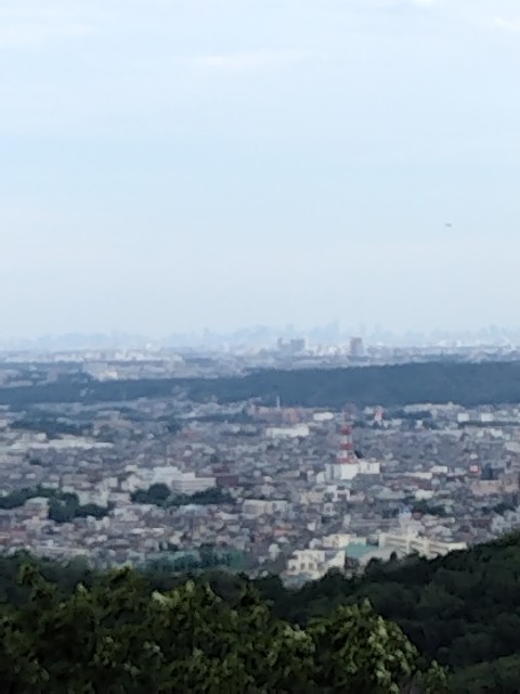 f:id:tayutao:20240623134929j:image