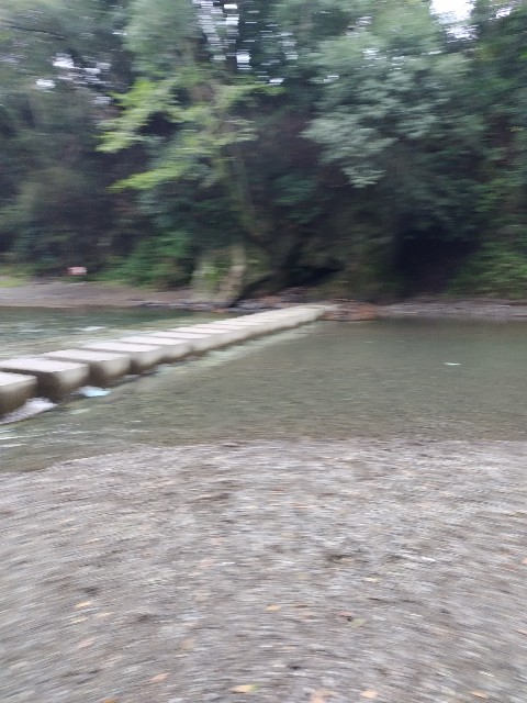 f:id:tayutao:20241002080853j:image