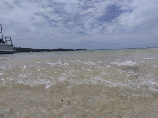 f:id:tayutao:20241031165952j:image