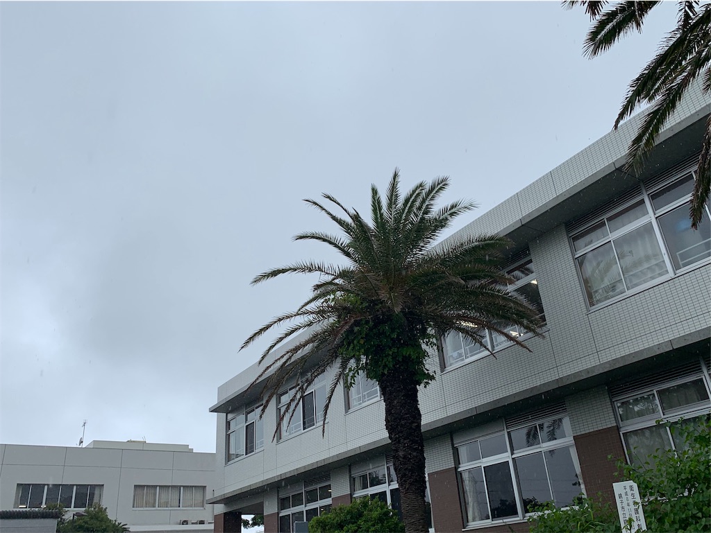 f:id:tb_ayamiya:20190627153740j:image f:id:tb_ayamiya:20190627153740j:image