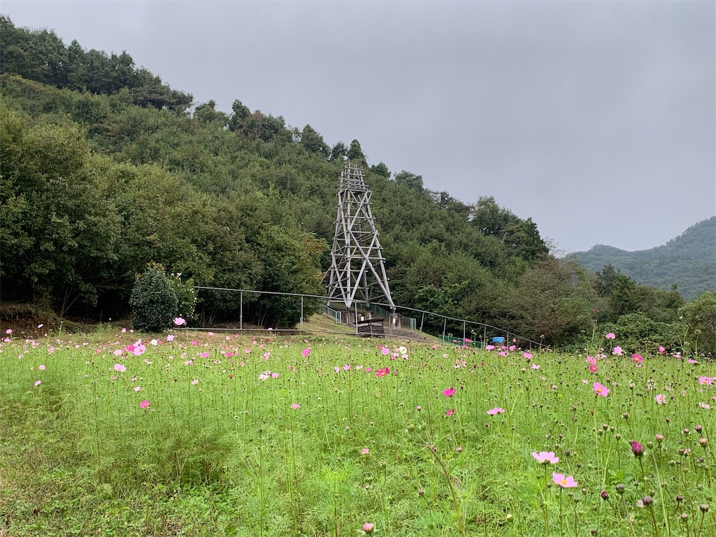 f:id:tb_ayamiya:20201023232514j:image