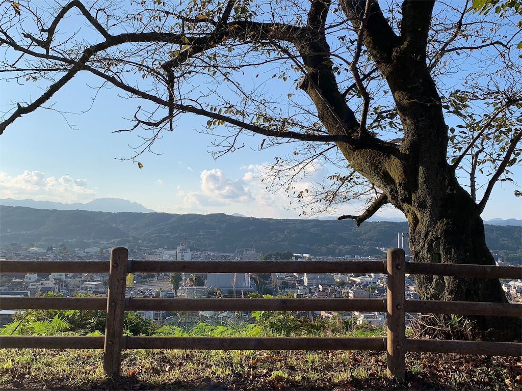 f:id:tb_ayamiya:20201107232641j:image