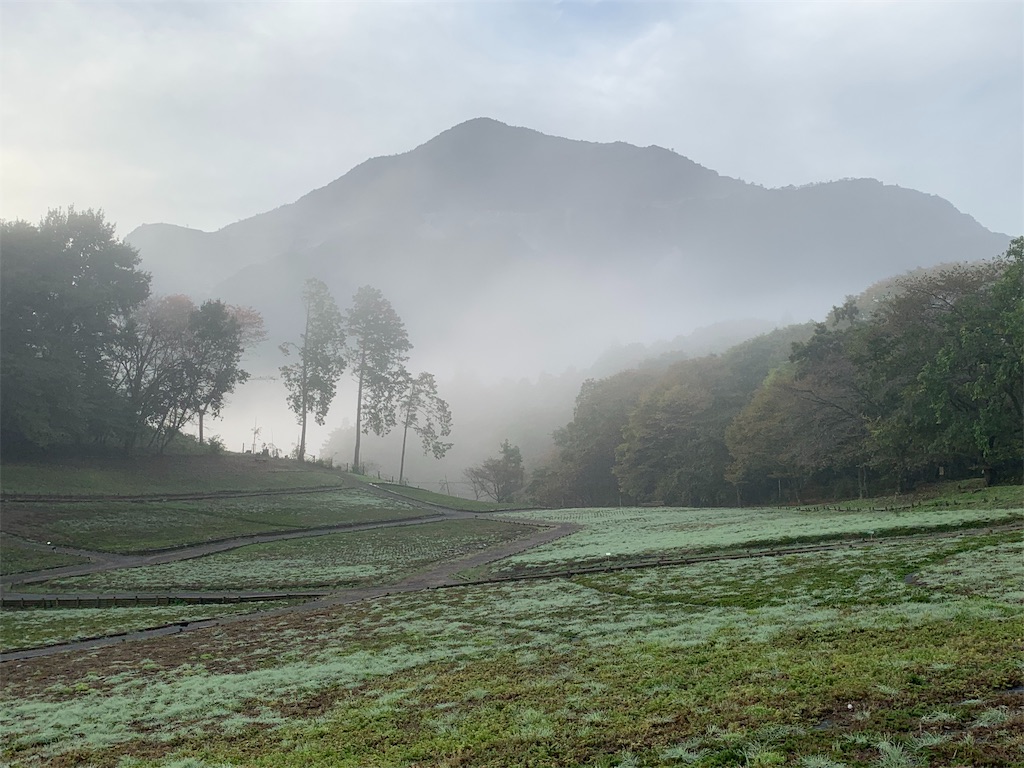 f:id:tb_ayamiya:20201107234921j:image