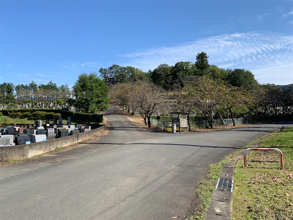 f:id:tb_ayamiya:20201118155105j:image