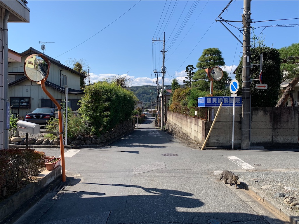 f:id:tb_ayamiya:20210105193731j:image