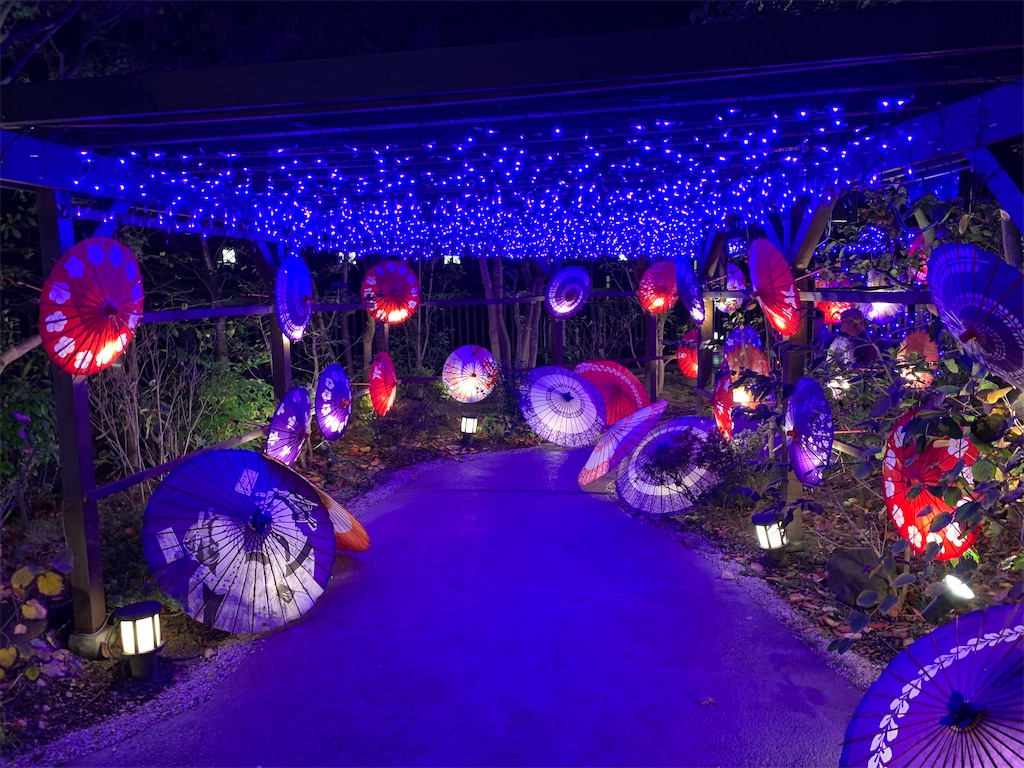 f:id:tb_ayamiya:20210106035512j:image